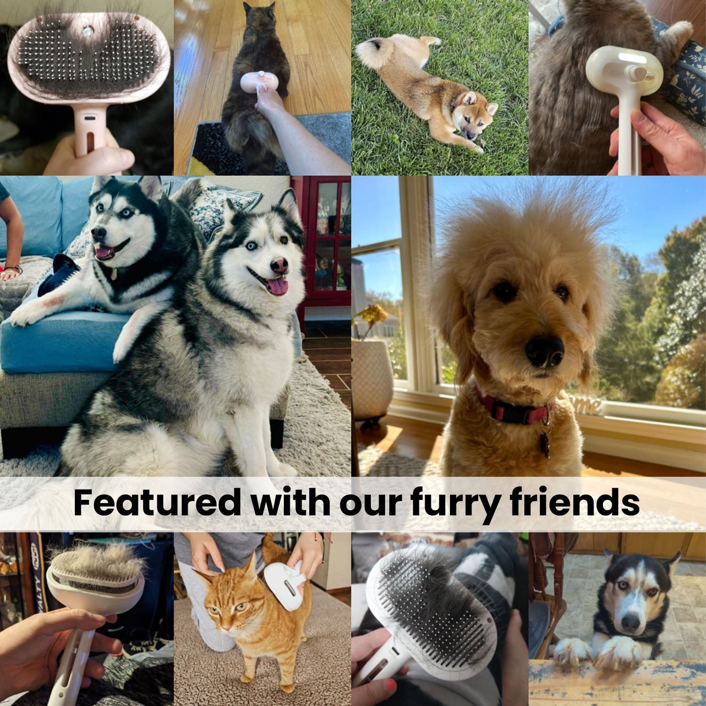 Pet Grooming Brush