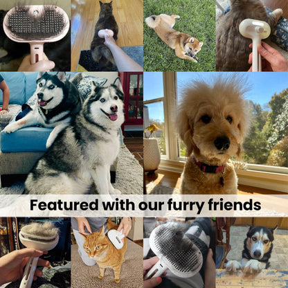 Pet Grooming Brush