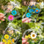20x Vases