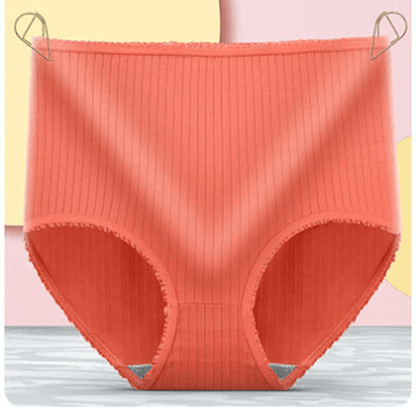Leak Proof Cotton Briefs Women’s Underwear Set