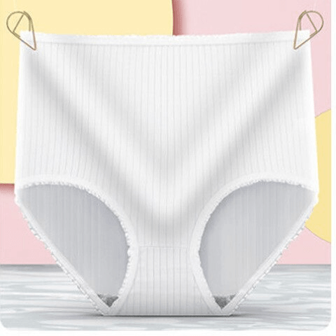 Leak Proof Cotton Briefs Women’s Underwear Set