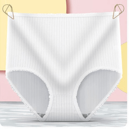 Leak Proof Cotton Briefs Women’s Underwear Set