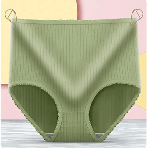 Leak Proof Cotton Briefs Women’s Underwear Set