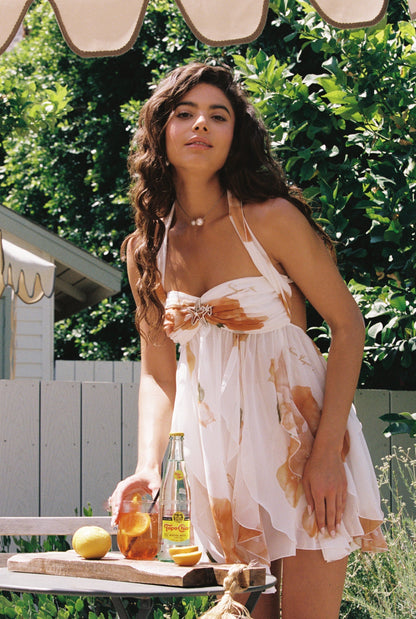 Aniela | Floral Mini Chiffon Dress