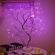 Pink Light