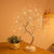 Warm Light