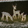 Christmas Lights Outdoor Reindeer Decoration Set