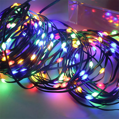 Christmas Lights Outdoor Multicolour LED Rope Light