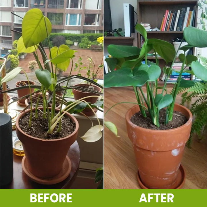 Soil Revitalizer
