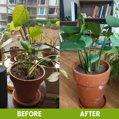 Soil Revitalizer
