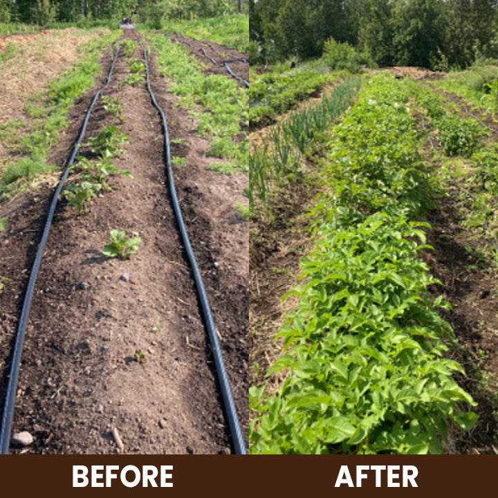 Soil Revitalizer