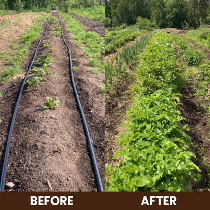 Soil Revitalizer
