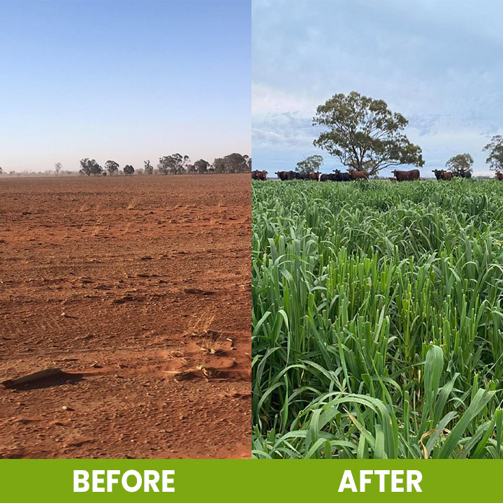 Soil Revitalizer