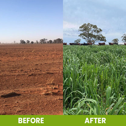 Soil Revitalizer