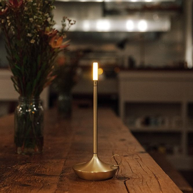 Table Lamp with Modern Dimmable LED Light