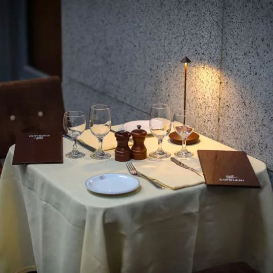 LED Table Lamp with Dimmable Aluminum Design