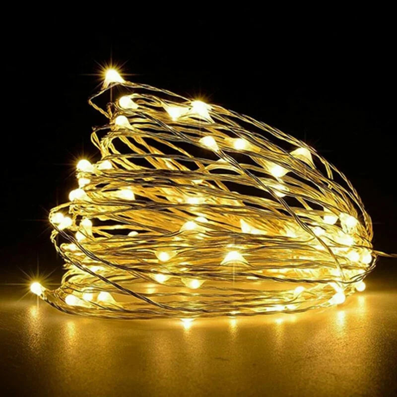 Fairy Lights for Christmas Decorations Indoor Outdoor