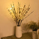Willow Branch