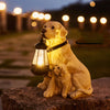 Solar Garden Dog Statue Light