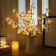 White Orchid